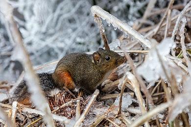 托德回应《星空》Mod收费争议：听到了玩家的反馈