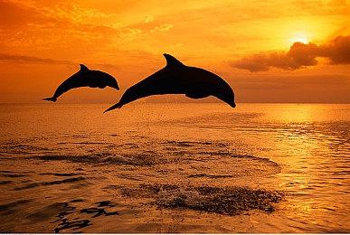 《牧场物语橄榄镇与希望的大地》新恋爱候补将于6月24日上线